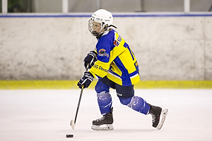 Klik for at se eller bestil foto