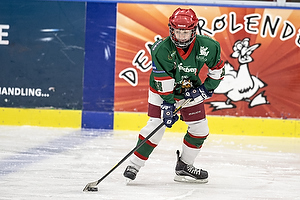 Klik for at se eller bestil foto