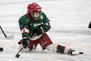 Klik for at se eller bestil foto