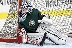 Klik for at se eller bestil foto