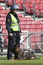 Kampkldt betjent med hund p Parkens grs