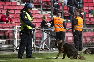 Kampkldt betjent med hund p Parkens grs