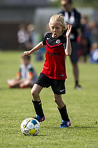 Klik for at se eller bestil foto