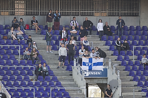 Finske fans