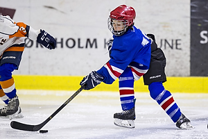 Klik for at se eller bestil foto