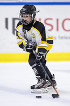 Klik for at se eller bestil foto