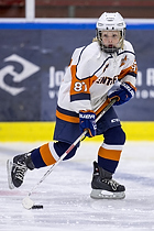 Klik for at se eller bestil foto