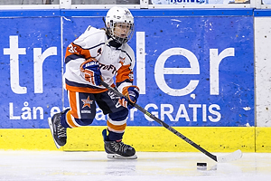 Klik for at se eller bestil foto