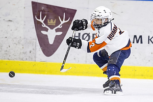 Klik for at se eller bestil foto