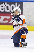 Klik for at se eller bestil foto