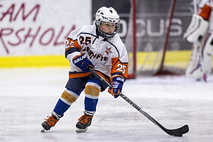 Klik for at se eller bestil foto