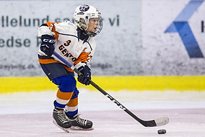 Klik for at se eller bestil foto