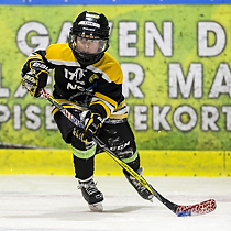 Klik for at se eller bestil foto
