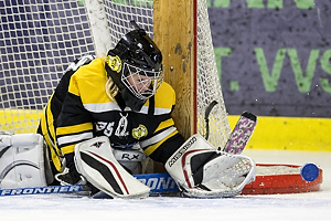Klik for at se eller bestil foto