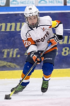 Klik for at se eller bestil foto