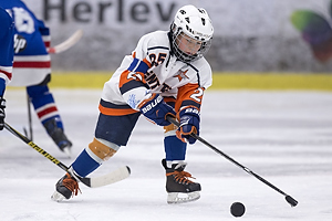 Klik for at se eller bestil foto