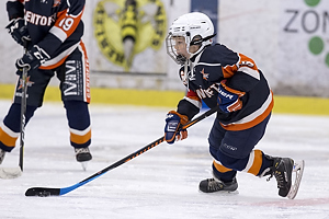 Klik for at se eller bestil foto