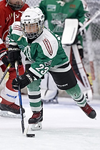 Klik for at se eller bestil foto