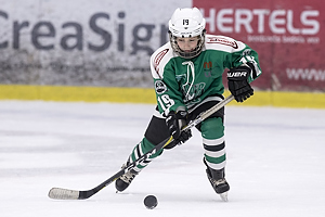 Klik for at se eller bestil foto