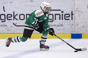 Klik for at se eller bestil foto