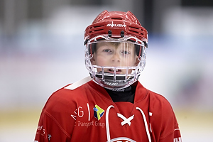 Klik for at se eller bestil foto