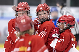 Klik for at se eller bestil foto