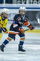 Klik for at se eller bestil foto