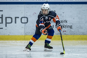 Klik for at se eller bestil foto