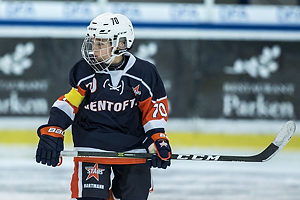 Klik for at se eller bestil foto