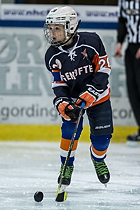 Klik for at se eller bestil foto