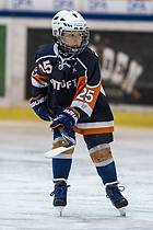 Klik for at se eller bestil foto