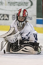 Klik for at se eller bestil foto