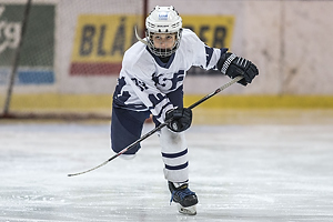 Klik for at se eller bestil foto