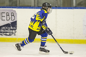 Klik for at se eller bestil foto