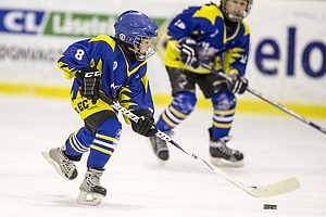 Klik for at se eller bestil foto