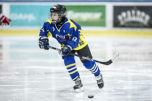 Klik for at se eller bestil foto