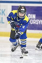 Klik for at se eller bestil foto