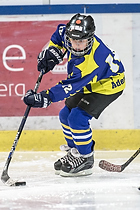 Klik for at se eller bestil foto