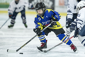 Klik for at se eller bestil foto