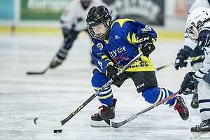 Klik for at se eller bestil foto