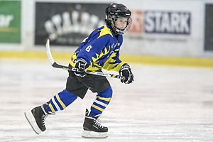 Klik for at se eller bestil foto