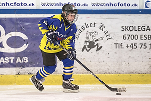 Klik for at se eller bestil foto