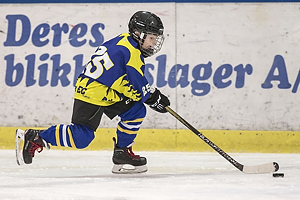 Klik for at se eller bestil foto