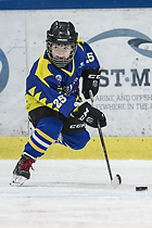 Klik for at se eller bestil foto