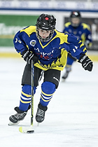 Klik for at se eller bestil foto