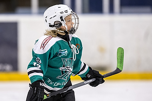 Klik for at se eller bestil foto