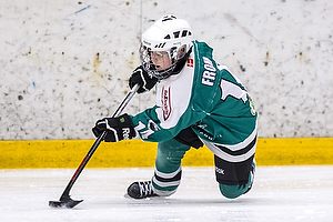 Klik for at se eller bestil foto