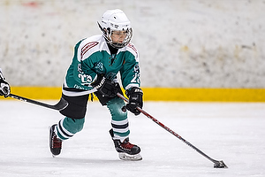 Klik for at se eller bestil foto