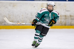 Klik for at se eller bestil foto