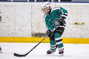 Klik for at se eller bestil foto